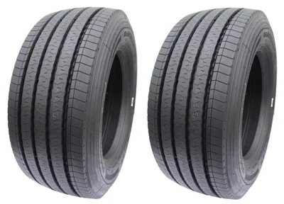 BLACKLION 385/55R22,5 BF196