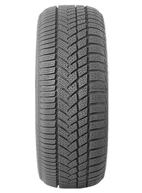 Autogreen 255/35R19 96V Winter-max A1 -WL5
