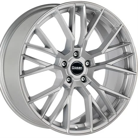AFL OCEAN WHEELS Gladio Silver 9.5x19 5/112 ET35