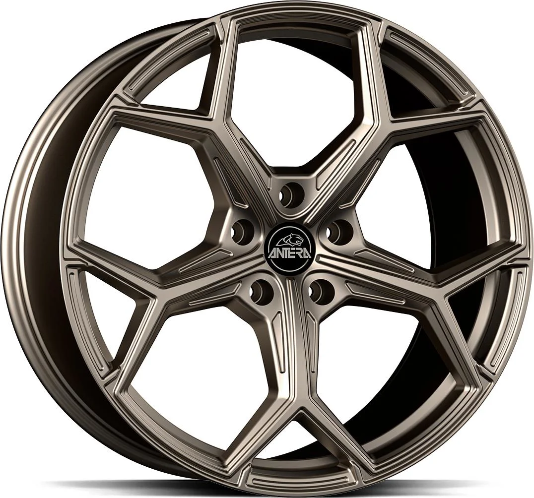 Rautamo GMP A101 Stone Bronze 9.5x22 5/112 ET18