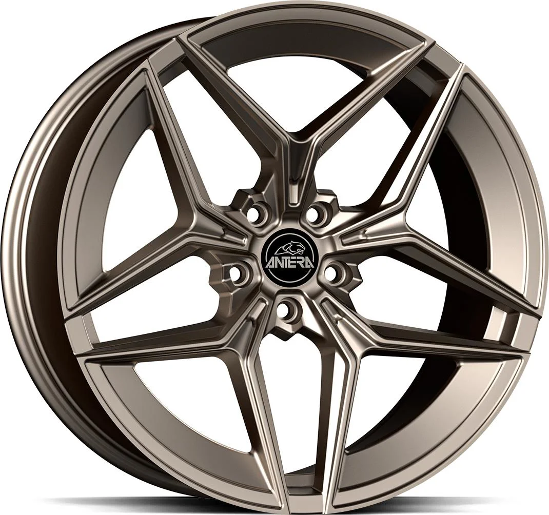 Rautamo GMP A107 Stone Bronze 10.5x19 5/110 ET40