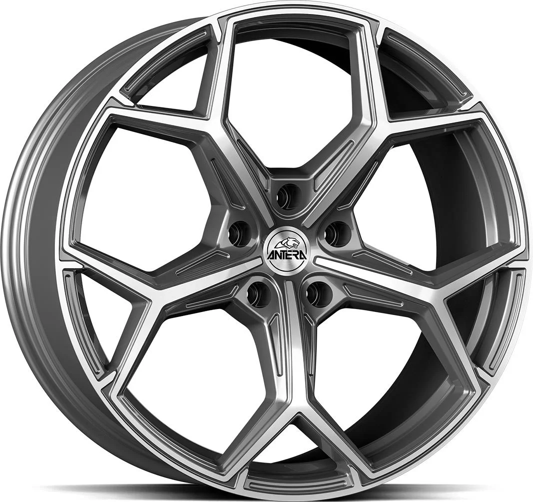 Rautamo GMP A101 Moon Grey Diam 10.5x22 5/120 ET40