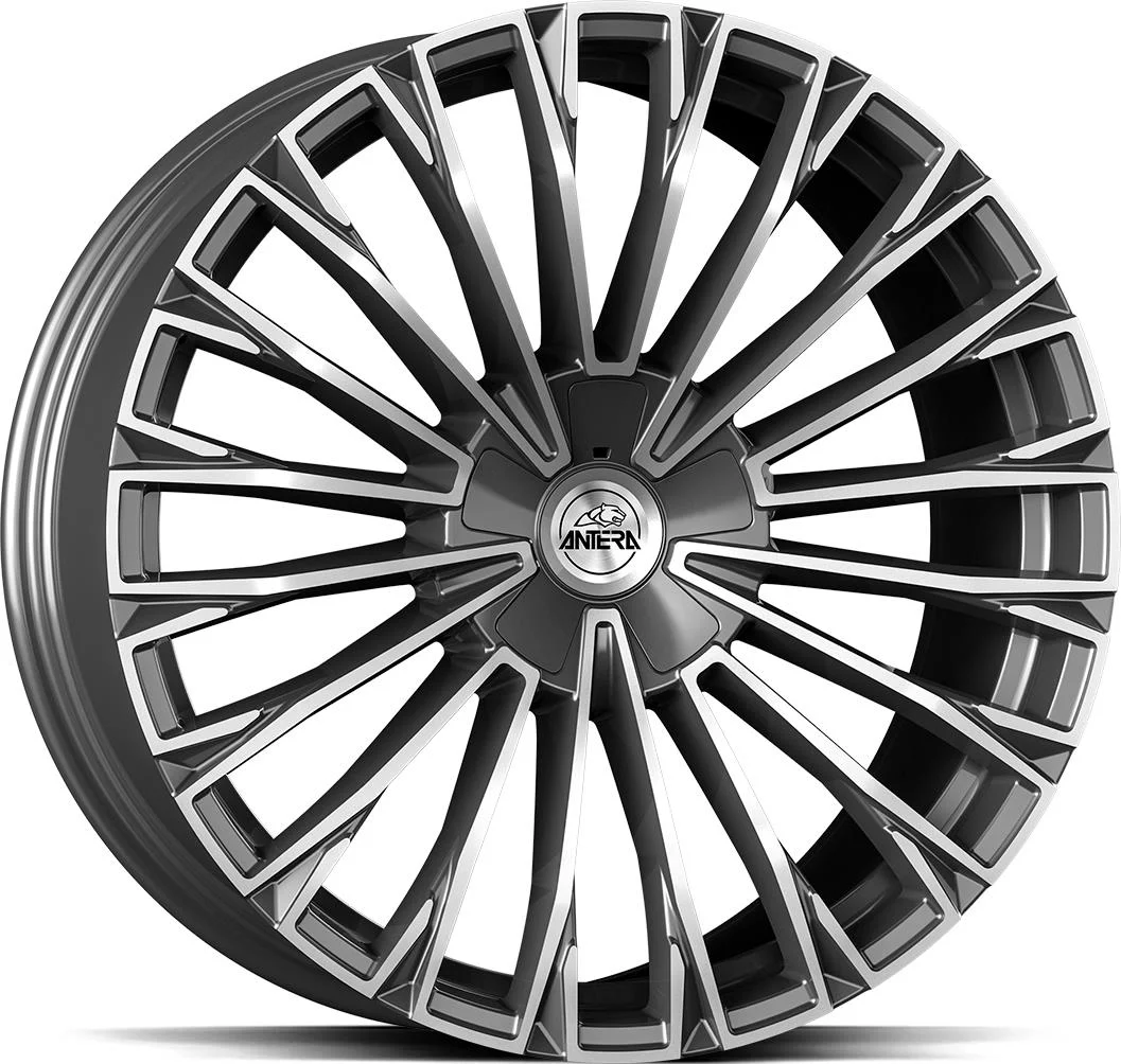 Rautamo GMP A103 Moon Gray Diam 9.5x20 5/112 ET40