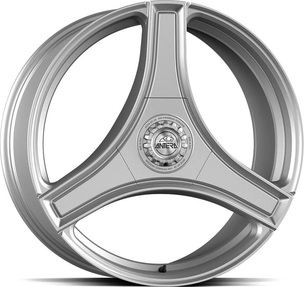 Rautamo GMP A123 Silv Ice 9.5x22 5/112 ET42