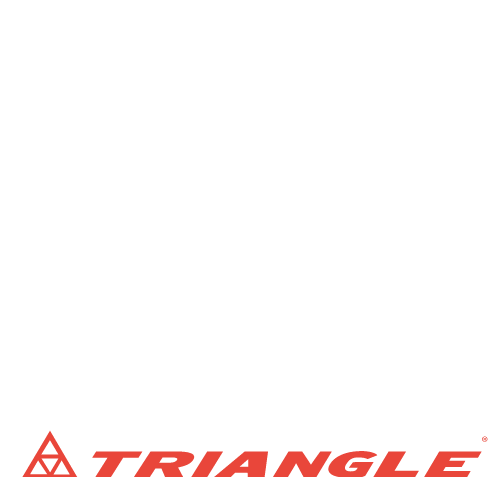 Triangle TI501
