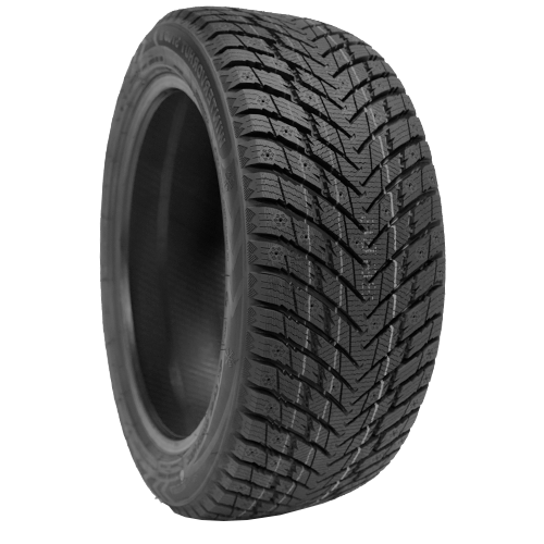 Ilink Wintervorhut II