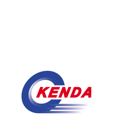 Kenda KR209