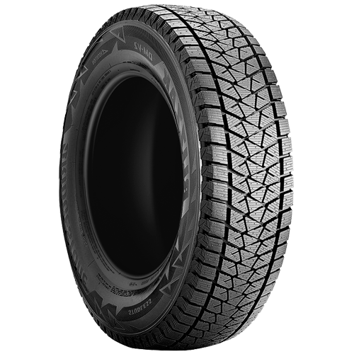 Bridgestone Blizzak DM-V2