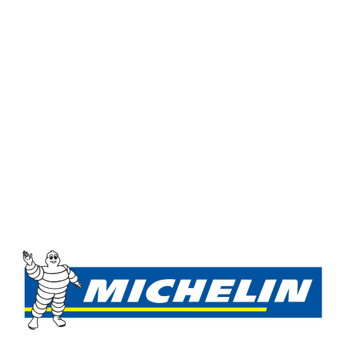 Michelin Pilot Sport 5